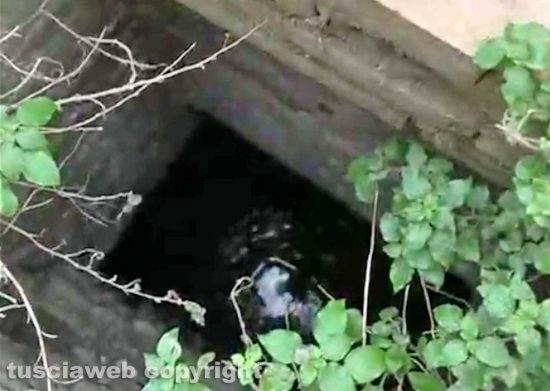 Viterbo - Buco profondo 3 metri vicino piazza della Rocca e enorme perdita d'acqua