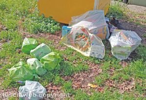 Viterbo - Rifiuti in via del Paradiso