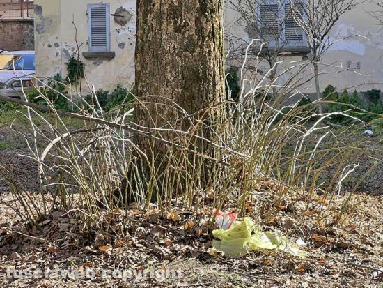 Viterbo - I rifiuti nel parco tra via Vanni e via del Massaro