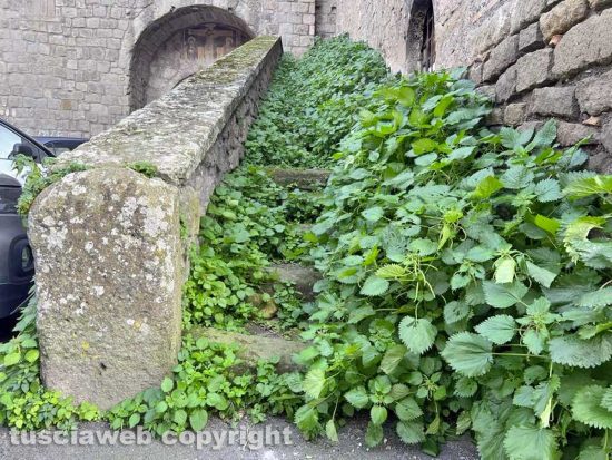 Viterbo - Il degrado di porta San Leonardo
