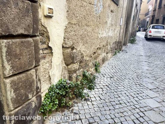 Viterbo - Multe a raffica in via dei Mille
