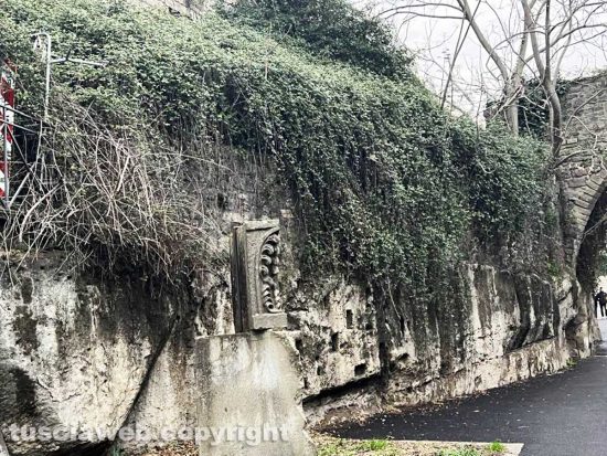Viterbo - Il giardino sommerso di via di porta Fiorita