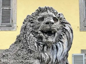 Viterbo - Piazza delle Erbe - I leoni di Pio Fedi