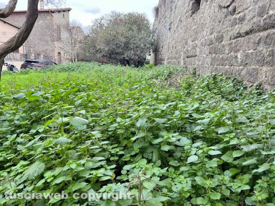 Viterbo - Pianoscarano - Il giardino di via dei Giardini