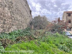 Viterbo - Pianoscarano - Il giardino di via dei Giardini