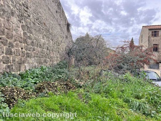 Viterbo - Pianoscarano - Il giardino di via dei Giardini