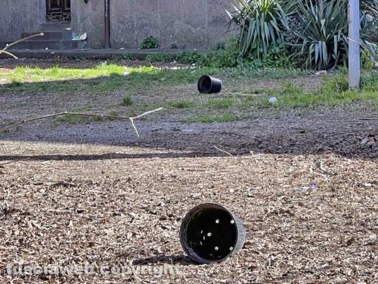 Viterbo - I rifiuti nel parco tra via Vanni e via del Massaro