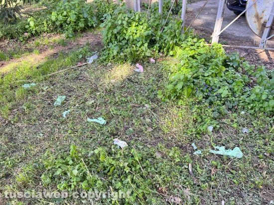 Viterbo - I rifiuti nel parco tra via Vanni e via del Massaro