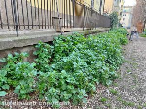 Viterbo - Il parco del Pilastro