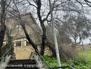 Viterbo - La scalinata di Valle Faul