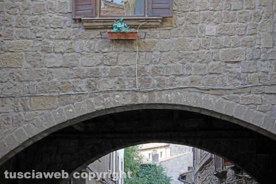Viterbo - San Pellegrino strozzato dai fili