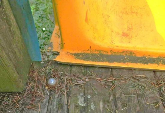 Viterbo - Parchi giochi in stato di abbandono e degrado 