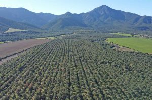 A Vallerano e Canepina il meeting annuale del progetto europeo Life Fagesos per la tutela delle foreste mediterranee