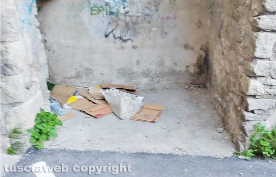 Viterbo - Incuria nella zona dove si trova l'ex palazzo Don Alceste Grandori