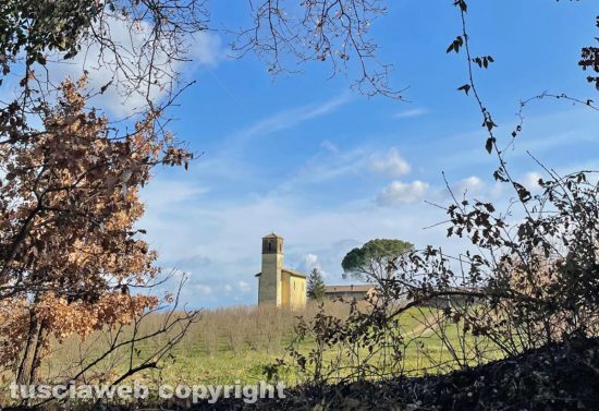 Soriano nel Cimino - Campagna sorianese