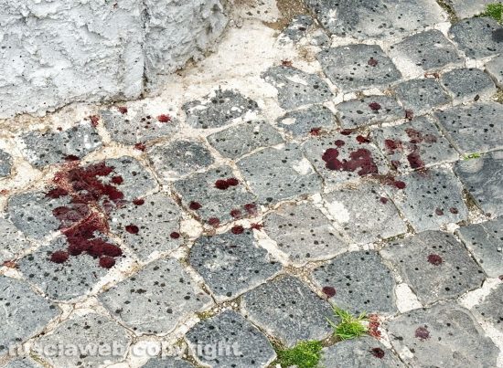 Civita Castellana - Scia di sangue in via del Tiratore