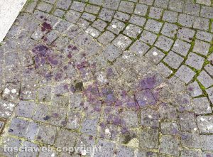 Civita Castellana - Scia di sangue in via del Tiratore