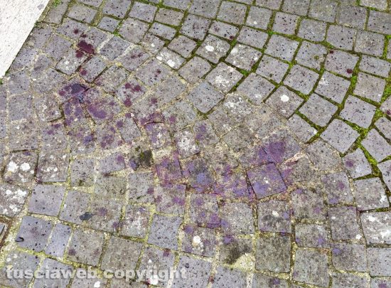 Civita Castellana - Scia di sangue in via del Tiratore