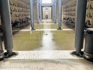 Viterbo - Cimitero, muschio a terra nei nuovi padiglioni