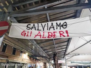 Civitavecchia - Restyling piazza Regina Margherita, appesi degli striscioni e cartelli per salvare gli alberi