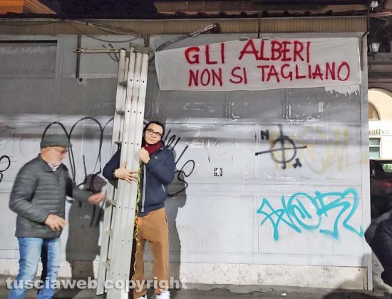 Civitavecchia - Restyling piazza Regina Margherita, appesi degli striscioni e cartelli per salvare gli alberi