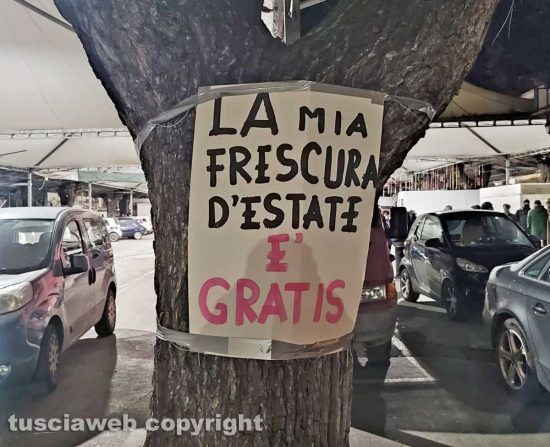 Civitavecchia - Restyling piazza Regina Margherita, appesi degli striscioni e cartelli per salvare gli alberi