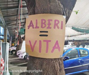 Civitavecchia - Restyling piazza Regina Margherita, appesi degli striscioni e cartelli per salvare gli alberi