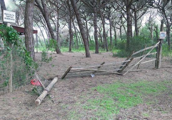 Tarquinia - Danneggiata la recinzione del campeggio 