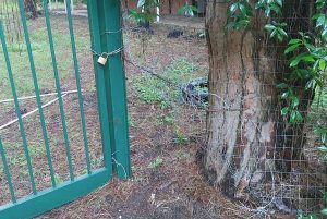 Tarquinia - Danneggiata la recinzione del campeggio