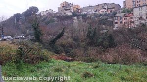 Bagnaia - Rovi in via degli Orti