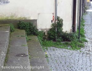 Viterbo - Gli esterni della chiesa di San Marco