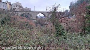 Bagnaia - Rovi in via degli Orti