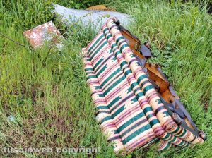 Viterbo - Rifiuti abbandonati in strada Riello