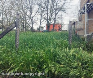 Degrado a Montecalvello