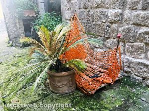 Viterbo - Via dell'Incontro