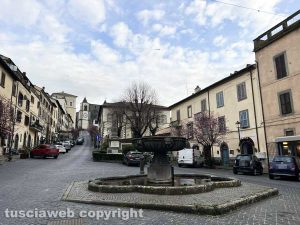 Viterbo - San Martino al Cimino
