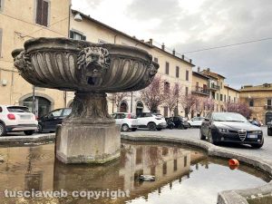 Viterbo - San Martino - La fontana con la vasca di Borromini e il tubo di plastica arancione in basso a destra
