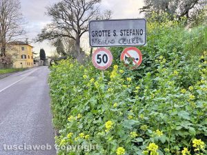 Viterbo - Grotte Santo Stefano