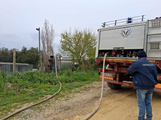 Tarquinia - Canile comunale senza acqua, intervengono protezione civile Aeopc