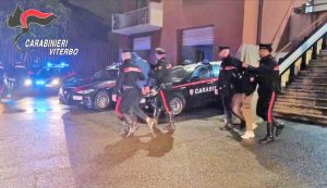 Civita Castellana - Il blitz dei carabinieri