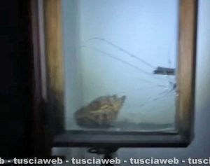 Viterbo - Furti alla Quercia - Il vetro rotto della finestra