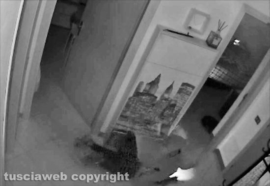 Ladro in azione a Grotticella, colpo fulmineo in un'abitazione - Un immagine della telecamera