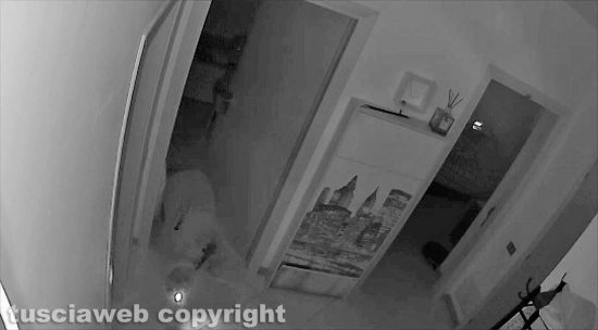Ladro in azione a Grotticella, colpo fulmineo in un'abitazione - Un immagine della telecamera