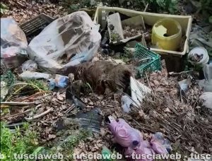 Civita Castellana - Scoperta discarica abusiva - Rifiuti pericolosi abbandonati da anni al Carraccio dei Monticelli
