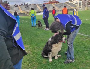 Viterbo - Stadio Rocchi - In campo a sei zampe