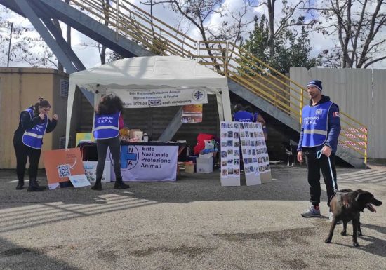 Viterbo - Stadio Rocchi - In campo a sei zampe