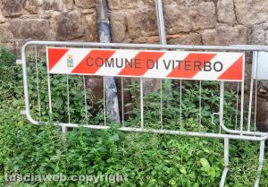 Erba alta a Viterbo