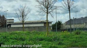 Viterbo - Il prato vicino al cimitero di San Lazzaro