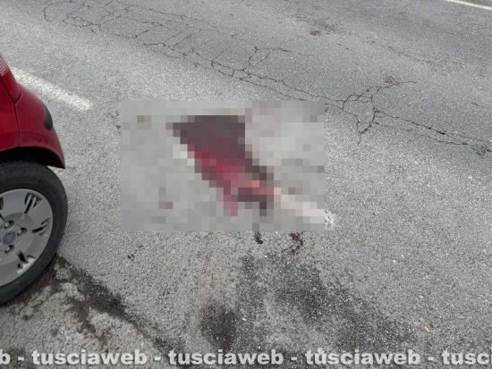 Giornata di sangue a Civita Castellana