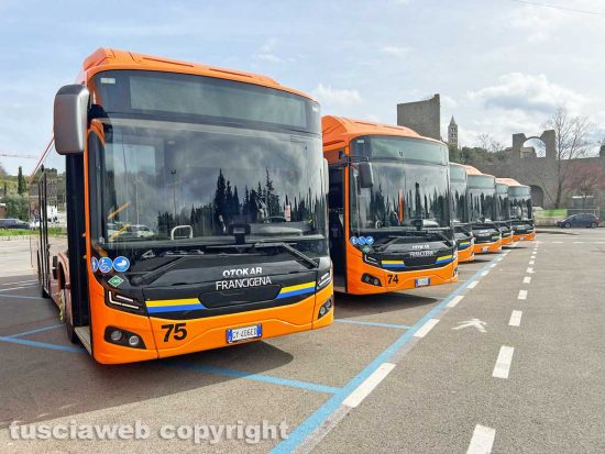 Viterbo - i nuovi bus della flotta Francigena